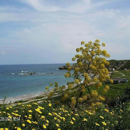 Marina Apartment B 16 - Tatlisu Trnc Akanthou Exterior foto